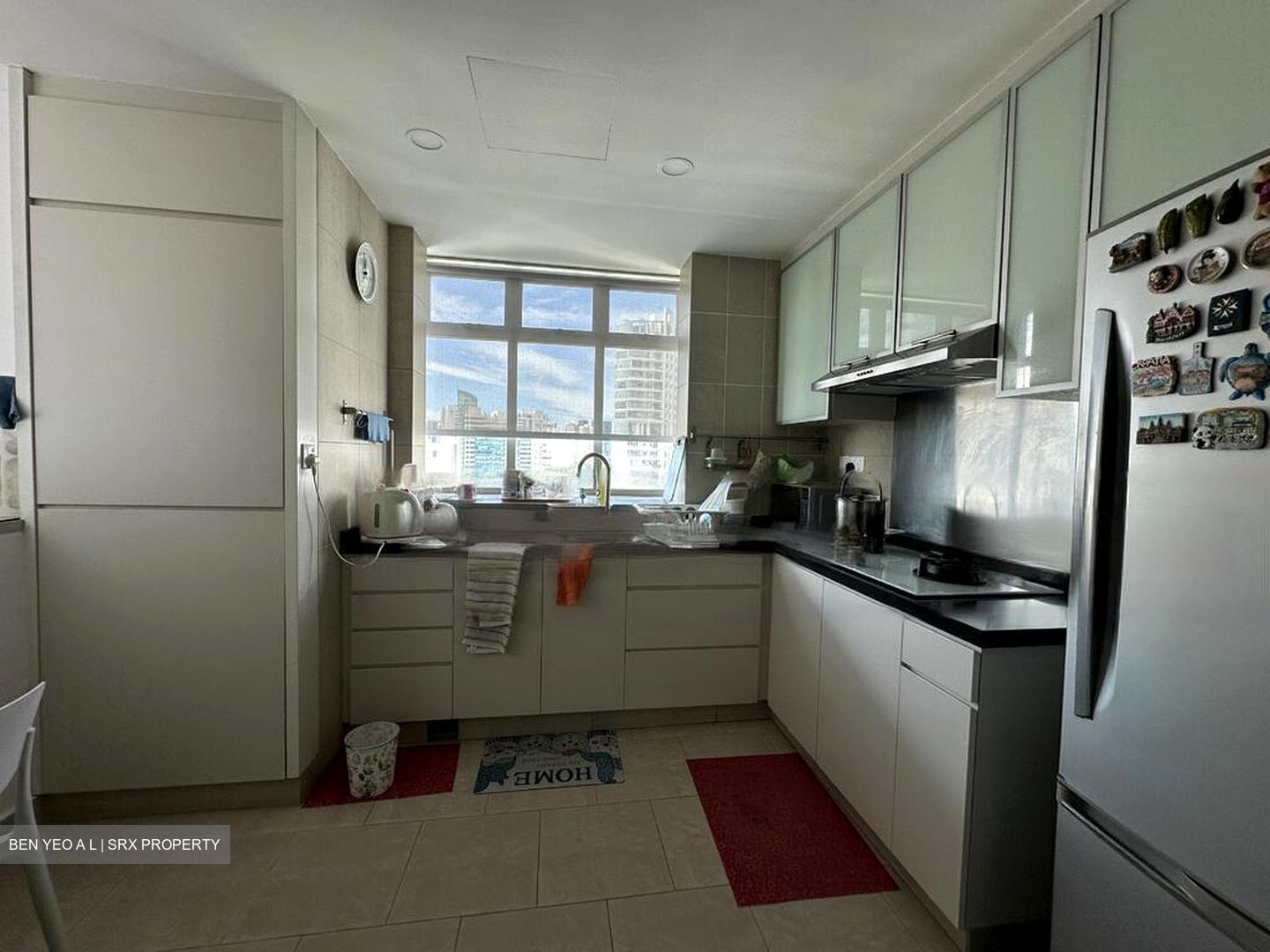 Newton 18 (D11), Apartment #488096241